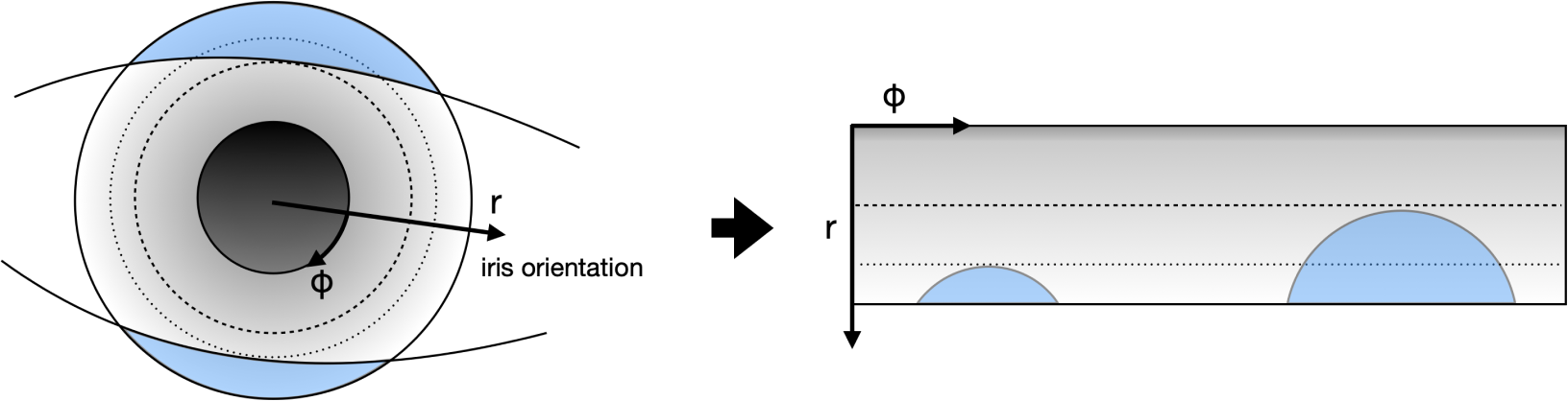 Figure 26: Scheme of the normalization process.