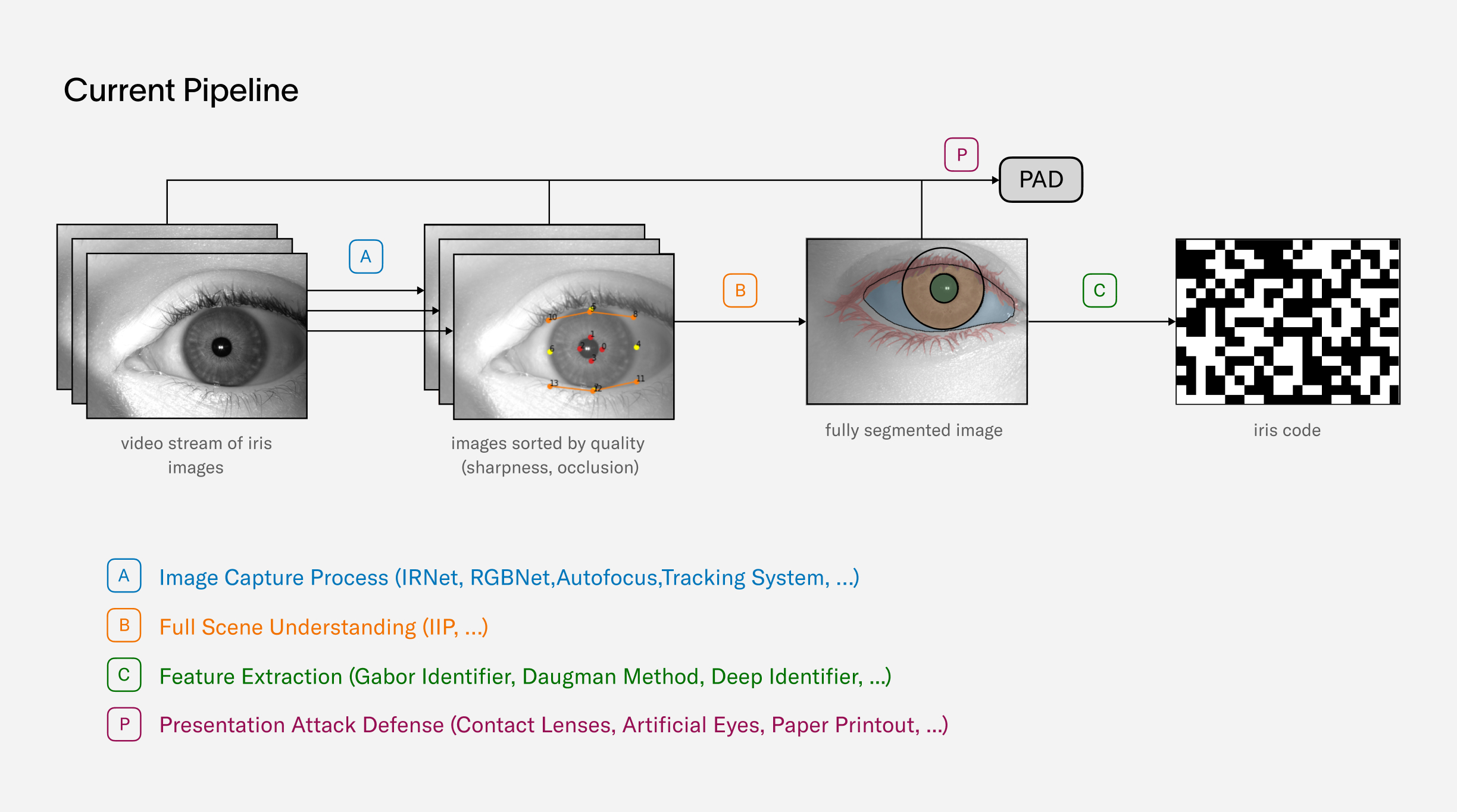 Figure 13: A: Image capture process optimized by several neural networks in real time.